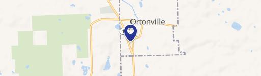 Ortonville, MI 48462