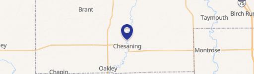 Chesaning, MI 48616