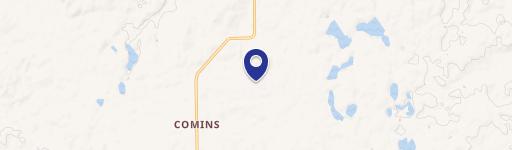 Comins, MI 48619