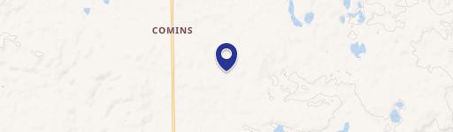 Comins, MI 48619