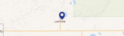 Lupton, MI 48635