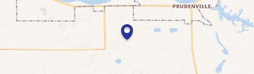 Prudenville, MI 48651