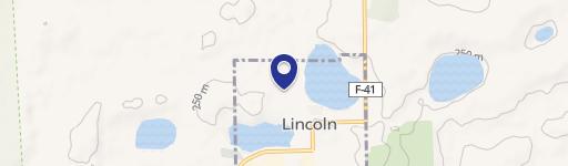 Lincoln, MI 48742