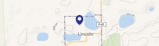 Lincoln, MI 48742