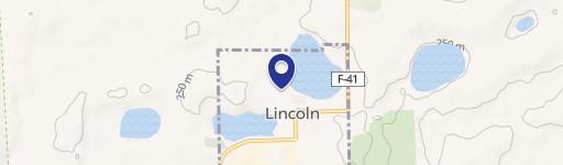 Lincoln, MI 48742