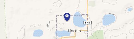 Lincoln, MI 48742
