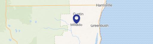 Mikado, MI 48745