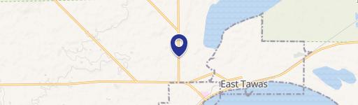 Tawas City, MI 48763