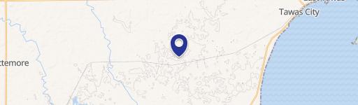 Tawas City, MI 48763