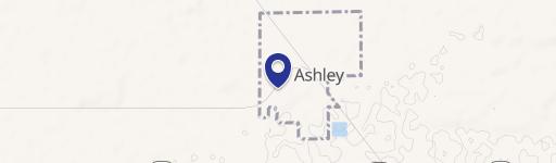 Ashley, MI 48806