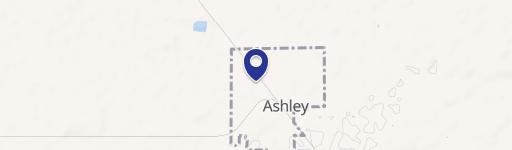 Ashley, MI 48806