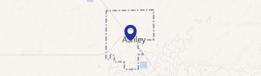 Ashley, MI 48806