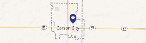 Carson City, MI 48811