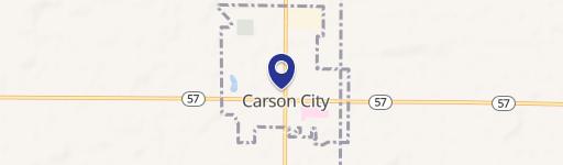 Carson City, MI 48811
