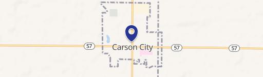 Carson City, MI 48811