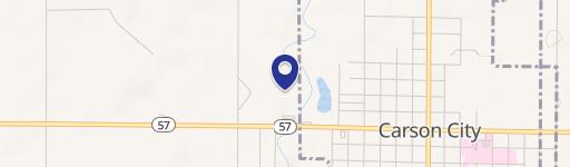 Carson City, MI 48811