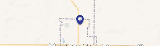 Carson City, MI 48811