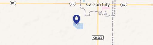 Carson City, MI 48811