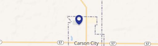 Carson City, MI 48811