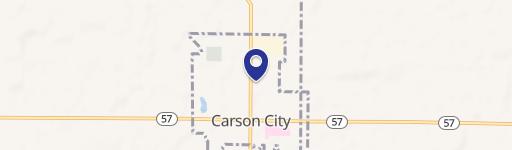 Carson City, MI 48811