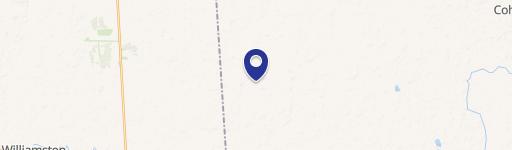 Fowlerville, MI 48836