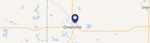 Greenville, MI 48838