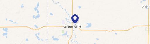 Greenville, MI 48838