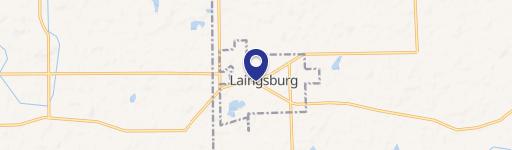 Laingsburg, MI 48848