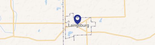Laingsburg, MI 48848