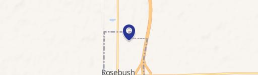Rosebush, MI 48878
