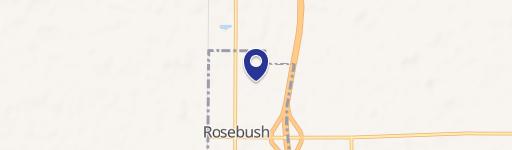 Rosebush, MI 48878