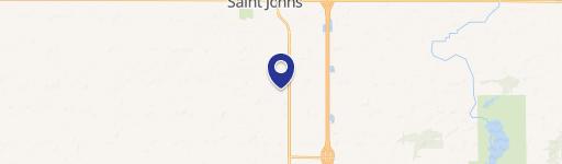 Saint Johns, MI 48879
