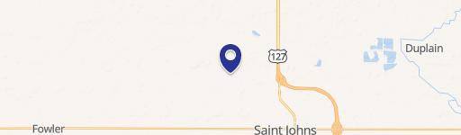 Saint Johns, MI 48879