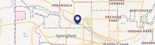 Springfield, MI 49037