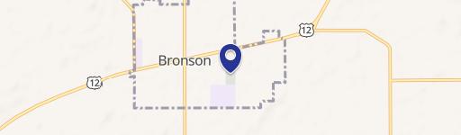 Bronson, MI 49028