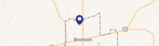 Bronson, MI 49028