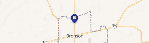 Bronson, MI 49028