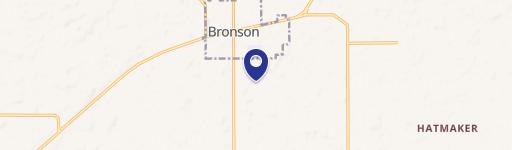 Bronson, MI 49028
