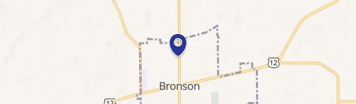 Bronson, MI 49028