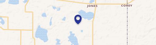 Jones, MI 49061