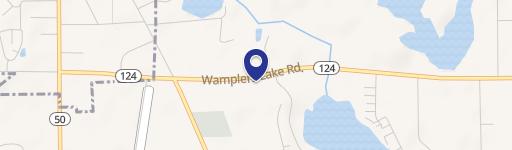9909 Wamplers Lk Rd