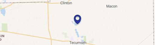 9800 Tecumseh Clinton Hwy