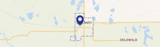 Baldwin, MI 49304