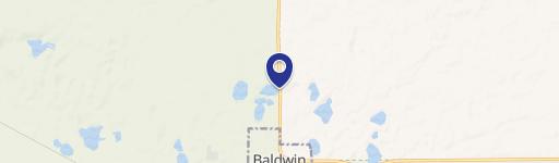 Baldwin, MI 49304