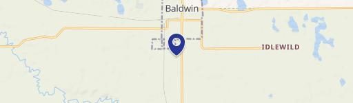 Baldwin, MI 49304