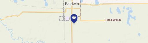 Baldwin, MI 49304
