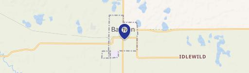 Baldwin, MI 49304
