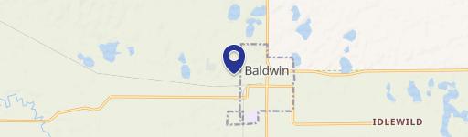 Baldwin, MI 49304