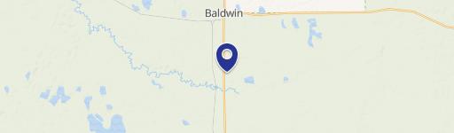 Baldwin, MI 49304