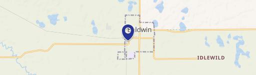 Baldwin, MI 49304